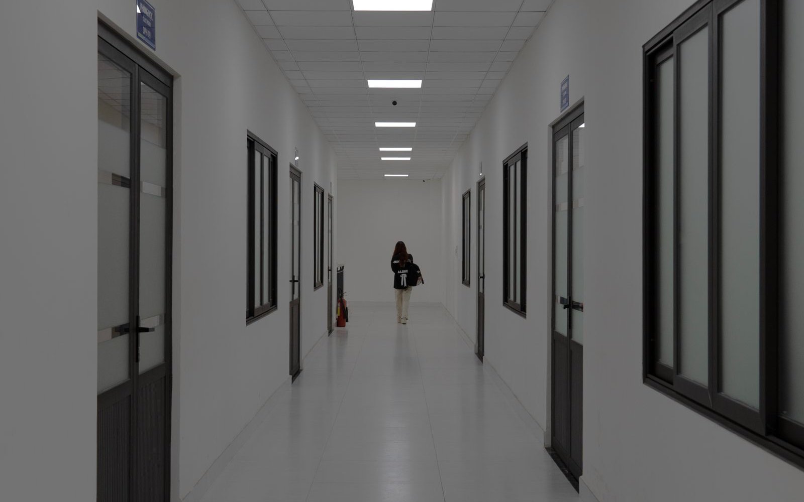 Bright cleanroom corridor finished with seamless white sandwich panel walls, radius trim and flush aluminum-framed access doors